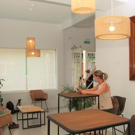 Hostal Tropical موتريل المظهر الخارجي الصورة